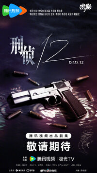 D.I.D. 12