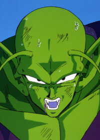 Piccolo