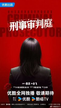 Criminal Prosecutor