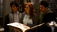 The Librarians and the Horns of a Dilemma