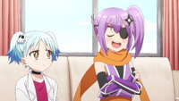 A Ninja and an Assassin's Big Dilemma
