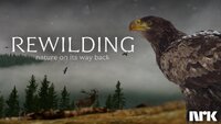 Naturen vender tilbake - rewilding