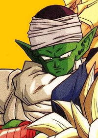 Piccolo