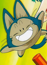 Puar