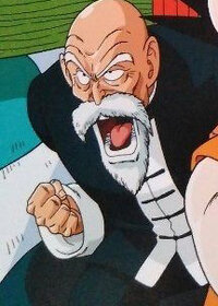 Master Roshi