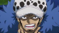 The Winner Takes All! Law vs. Blackbeard!