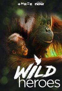 Wild Heroes