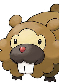 Bidoof