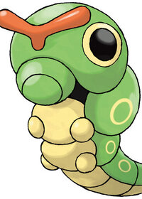 Caterpie