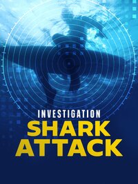 Investigation Shark Attack