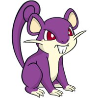 Rattata