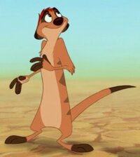 Timon