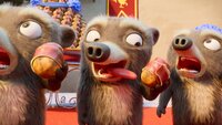 Danse avec les Ours