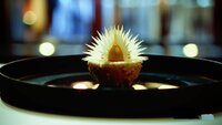 Pressure Test: Philip Khoury's Dawn of a Tropical New Day
