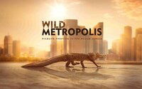 Wild Metropolis