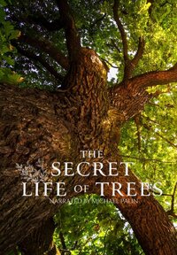 The Secret Life of Trees