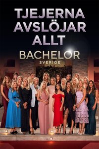 Bachelor - Tjejerna avslöjar allt