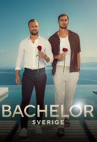 Bachelor Sverige