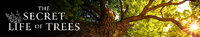 The Secret Life of Trees