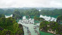Mysterious North: Land of Mountain Forests