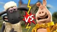 Pigs v Sheep