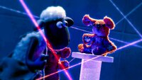 24 Hour Party Sheep