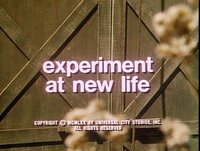 Experiment at New Life