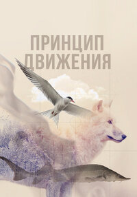 Принцип движения