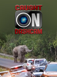 Caught on Dashcam