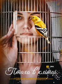 Птаха в клітці