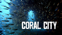 Coral City