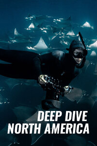 Deep Dive North America