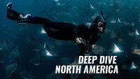 Deep Dive North America