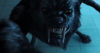 Chapter VI: Woe Thyself