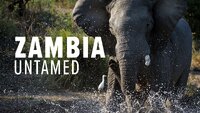 Zambia Untamed