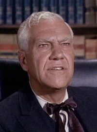 The Judge