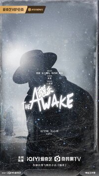 The Awake