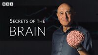 Secrets of the Brain