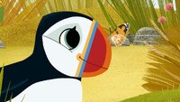 The Puffin Way
