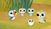 Owl School
