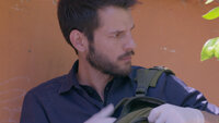 Capitulo 35
