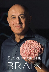 Secrets of the Brain