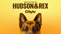 Hudson & Rex
