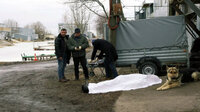 Развод