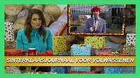 Het sinterklaasjournaal