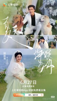 Summer Waves and You