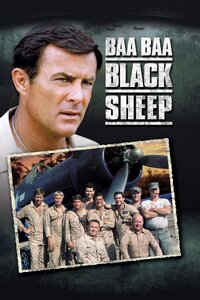 Black Sheep Squadron