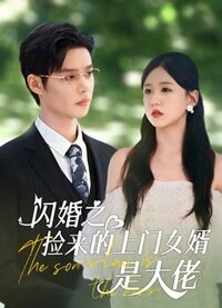 Accidental Noble Husband