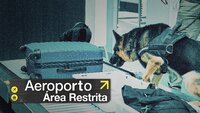 Aeroporto: Área Restrita