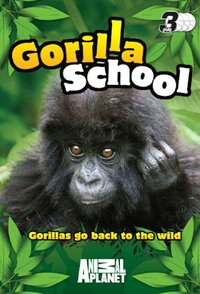 Gorilla School